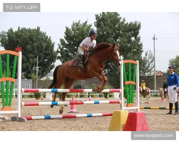 探索hkjc香港赛马app官方，尽享赛马乐趣与精彩赛事